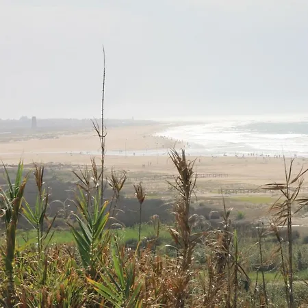 Conil Ceuta * Conil De La Frontera
